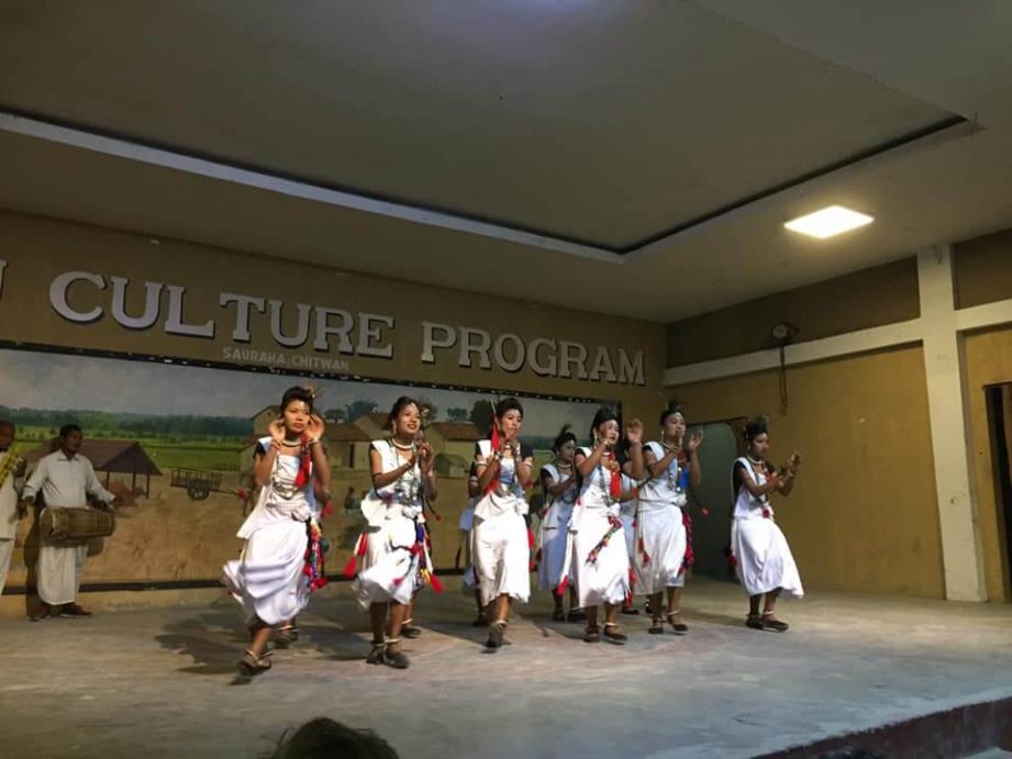 Chitwan Jungle Safari Tour- Cultural dance.